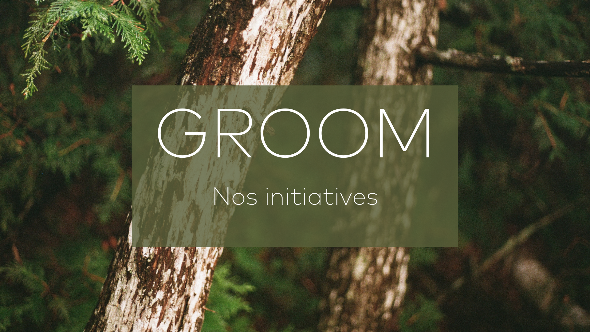 Initiatives environnementales de GROOM